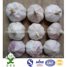 Red Garlic (Normal White Garlic Packing in 10kgs Cartons